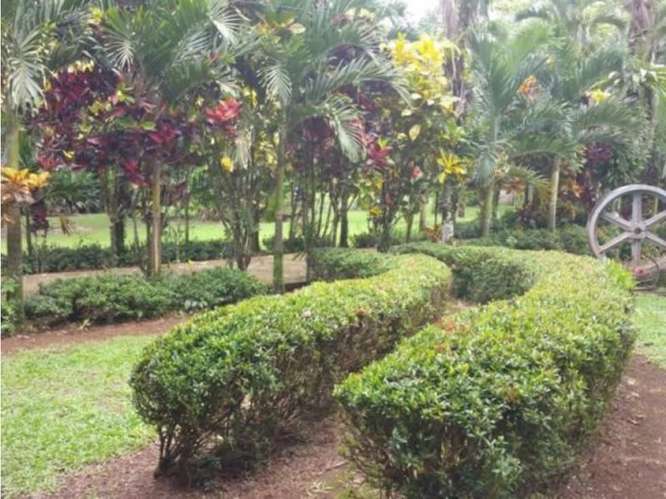 Quinta para la venta en Valle Azul de San Ramón de Alajuela. - Imagen 8
