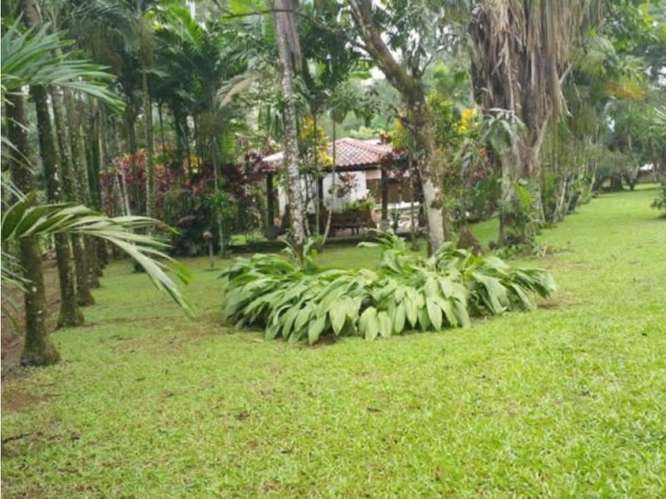 Quinta para la venta en Valle Azul de San Ramón de Alajuela. - Imagen 9