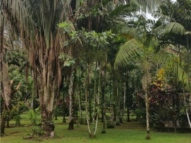 Quinta para la venta en Valle Azul de San Ramón de Alajuela. - Imagen 11
