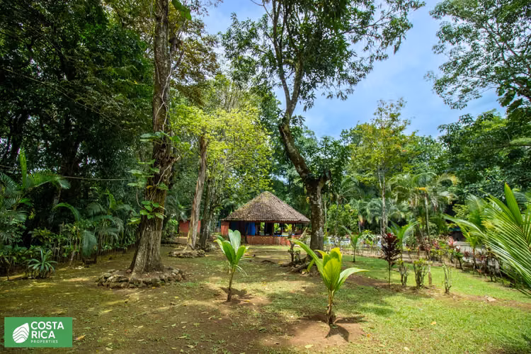Casa en venta en San Mateo, amueblada, piscina, rancho, amplias zonas verdes y árboles frutales - Imagen 4