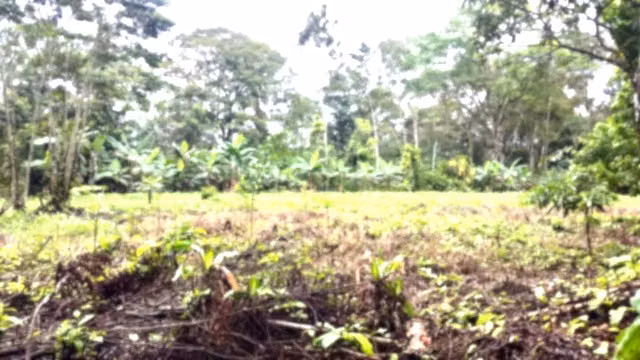 Se vende finca Valle Azul GANGA 38 MILL COLONES - Imagen 8