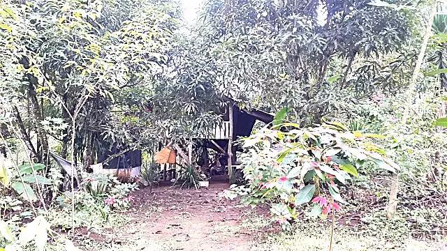 Se vende finca Valle Azul GANGA 38 MILL COLONES - Imagen 5