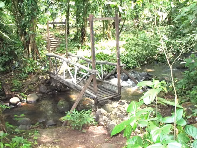 Venta finca Alajuela  San Ramon , termales