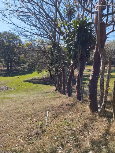 Lote REBAJADO de 7077m2 uso Residencial en la Guácima de Alajuela - Imagen 7