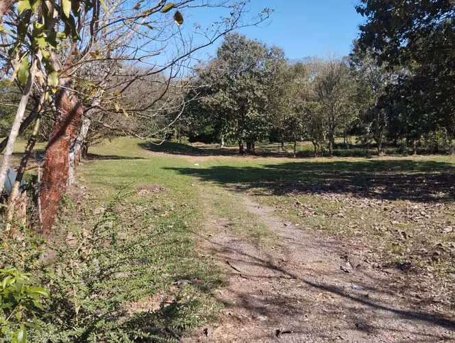 Lote REBAJADO de 7077m2 uso Residencial en la Guácima de Alajuela - Imagen 6