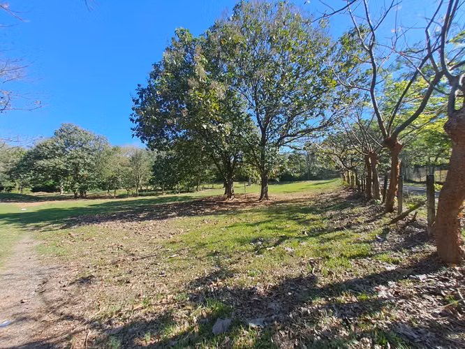 Lote REBAJADO de 7077m2 uso Residencial en la Guácima de Alajuela - Imagen 13
