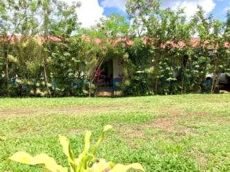 10 HECTAREAS FINCA SEMBRADA CON CACAO EN PRODUCCION