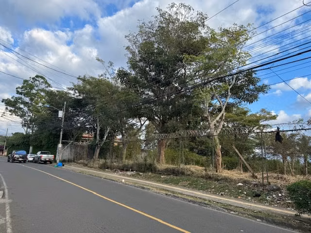 Lote uso de suelo Mixto , 29m de Frente Topografia Plana - Imagen 5