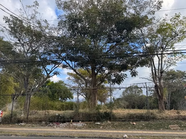 Lote uso de suelo Mixto , 29m de Frente Topografia Plana - Imagen 3