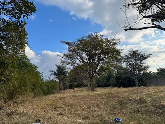 Lote uso de suelo Mixto , 29m de Frente Topografia Plana - Imagen 9
