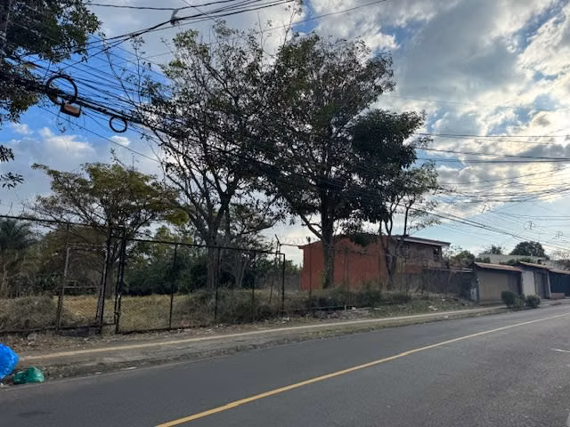 Lote uso de suelo Mixto , 29m de Frente Topografia Plana - Imagen 6