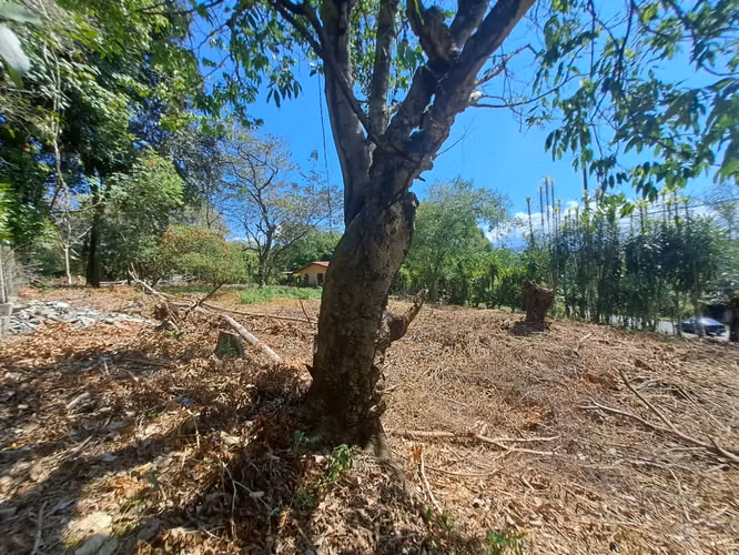 Venta terreno uso de suelo mixto Orotina - Imagen 3
