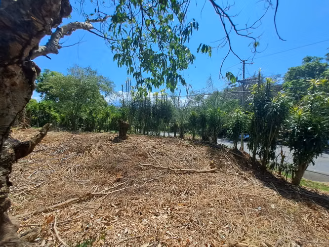 Venta terreno uso de suelo mixto Orotina - Imagen 9