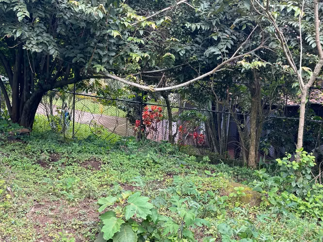 OPORTUNINIDAD Venta de lote en Escazú de 1521 metros - Imagen 7