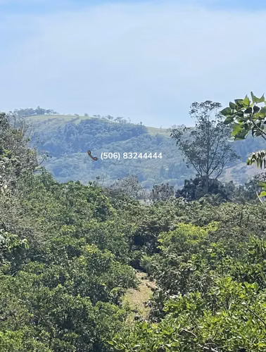 VENTA DE FINCA EN SAN RAMÓN, ALAJUELA