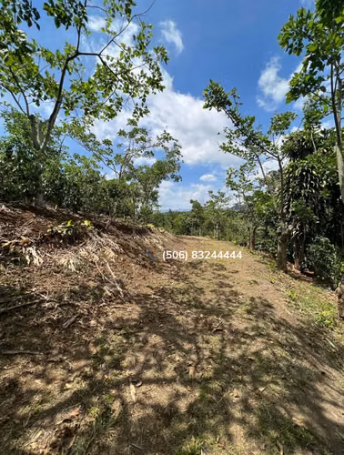 VENTA DE FINCA EN SAN RAMÓN, ALAJUELA