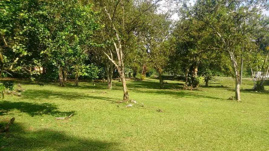 Venta de terreno comercial, servicios o residencial en Ciudad Neily - Imagen 16