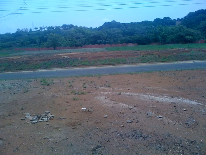 Guacima, Las Vueltas. Precioso lote!! - Imagen 8