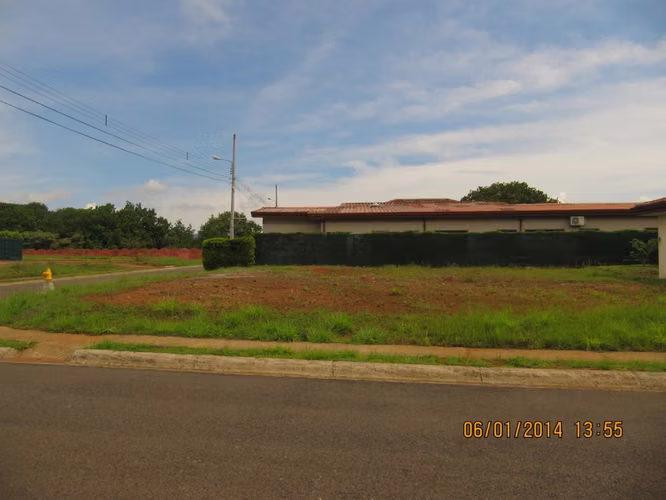 Guacima, Las Vueltas. Precioso lote!! - Imagen 15