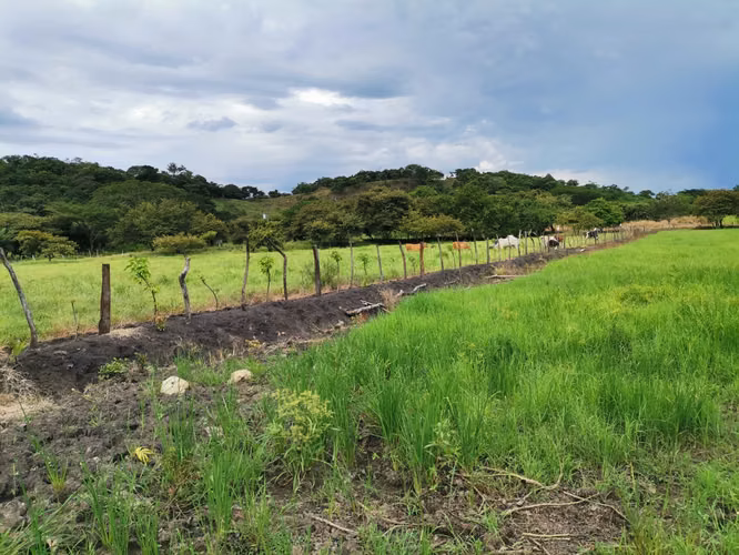 Venta finca Guanacaste Bagaces 56 mill col GANGA