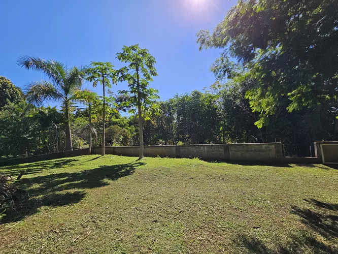 Lote en venta en Orotina, cerrado con tapias, plano, árboles frutales - Imagen 5