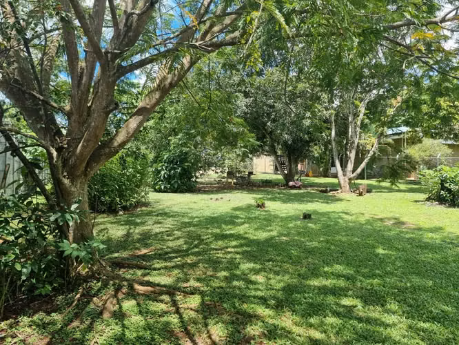 Lote en venta en Orotina, cerrado con tapias, plano, árboles frutales - Imagen 13