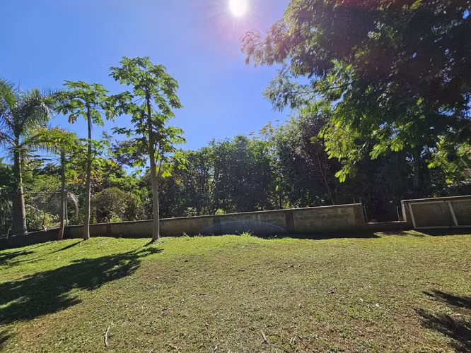 Lote en venta en Orotina, cerrado con tapias, plano, árboles frutales - Imagen 4