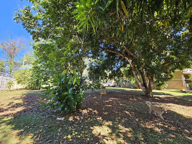 Lote en venta en Orotina, cerrado con tapias, plano, árboles frutales - Imagen 14