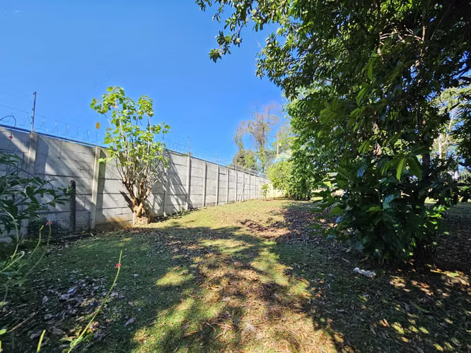 Lote en venta en Orotina, cerrado con tapias, plano, árboles frutales - Imagen 15