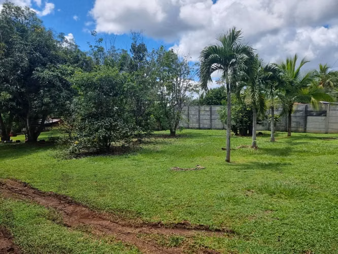 Lote en venta en Orotina, cerrado con tapias, plano, árboles frutales - Imagen 3