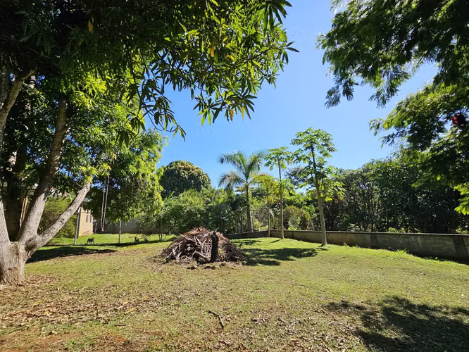 Lote en venta en Orotina, cerrado con tapias, plano, árboles frutales - Imagen 2