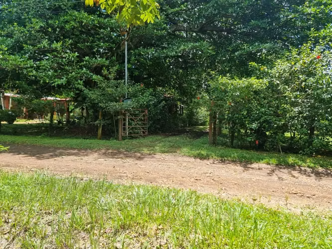 Lote en venta en Orotina, cerrado con tapias, plano, árboles frutales - Imagen 8