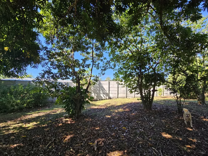 Lote en venta en Orotina, cerrado con tapias, plano, árboles frutales - Imagen 20