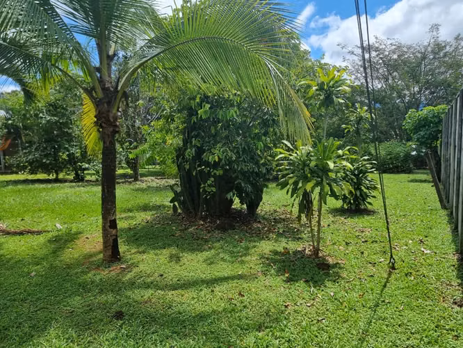 Lote en venta en Orotina, cerrado con tapias, plano, árboles frutales - Imagen 19