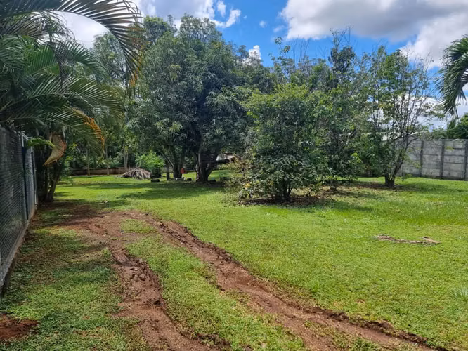 Lote en venta en Orotina, cerrado con tapias, plano, árboles frutales - Imagen 6