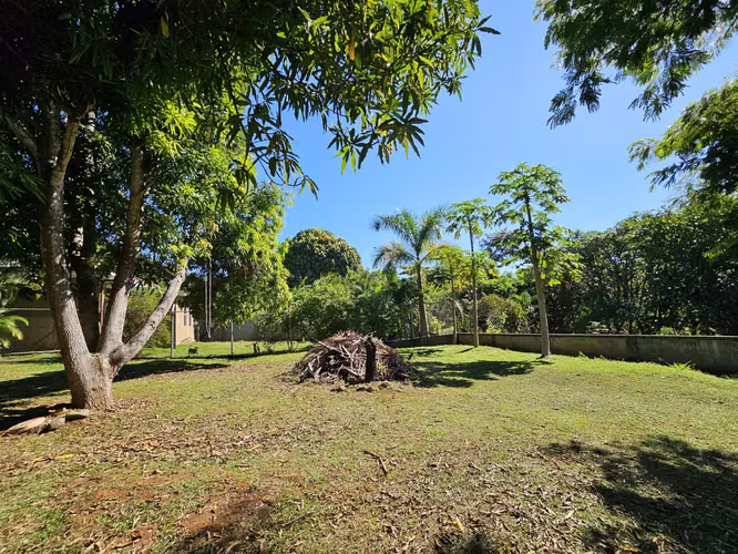 Lote en venta en Orotina, cerrado con tapias, plano, árboles frutales - Imagen 10