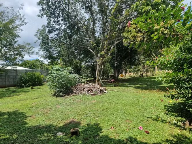 Lote en venta en Orotina, cerrado con tapias, plano, árboles frutales - Imagen 7