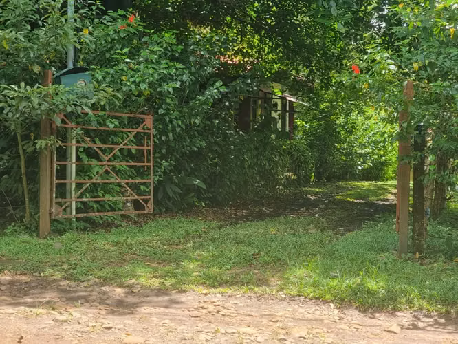 Lote en venta en Orotina, cerrado con tapias, plano, árboles frutales - Imagen 9