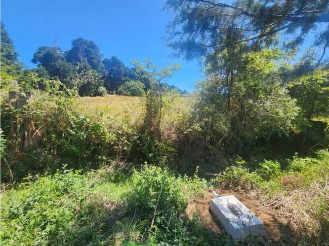 Venta de terrenos en los Ángeles de San Rafael $30 m2 - Imagen 5