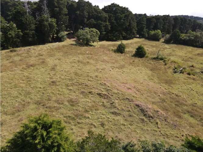 Venta de terrenos en los Ángeles de San Rafael $30 m2 - Imagen 15