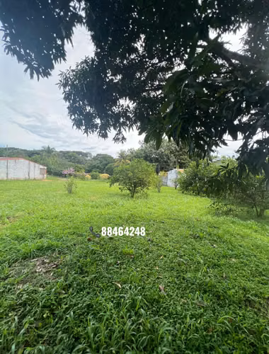 VENTA DE LOTE EN LA GARITA - Imagen 3