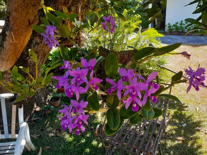 SE VENDE ESPECTACULAR QUINTA LA GARITA - ALAJUELA