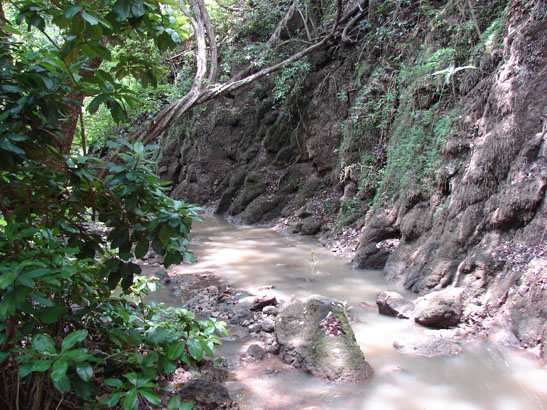 Venta Lote en Playa Bajamar Puntarenas