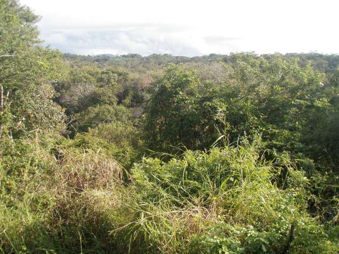 Venta Lote en Playa Bajamar Puntarenas