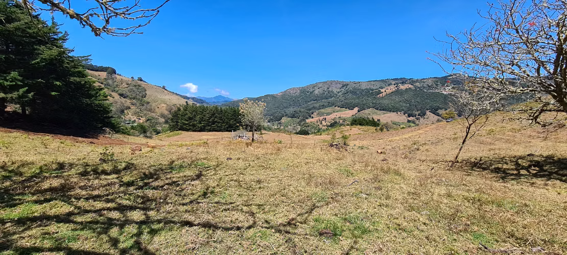 Venta de quinta en Copey de Dota con excelente vista