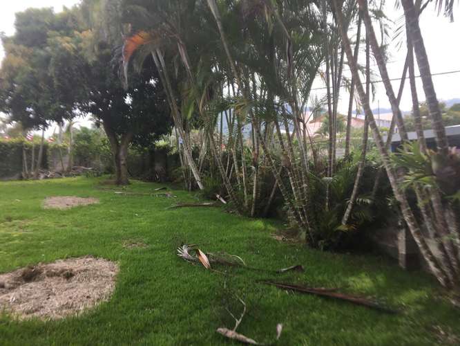 Lote Esquinero con Alto Potencial Comercial 271 m2