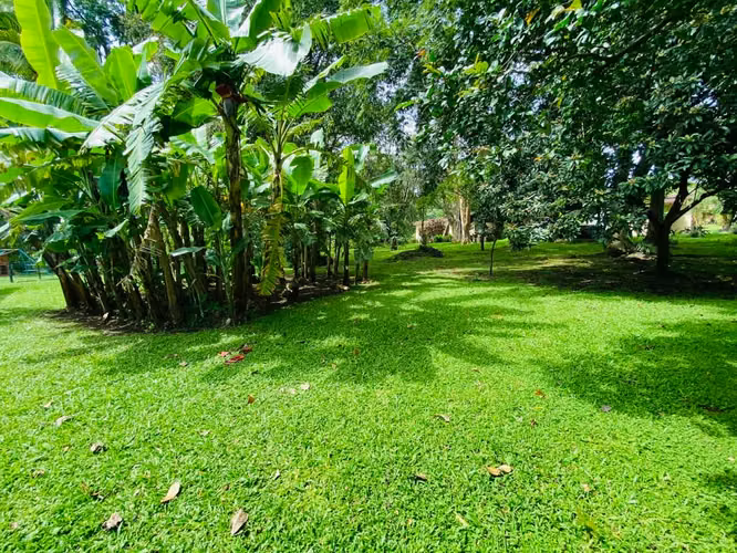 Vendo Casa Bosques de doña Rosa una planta $850,000