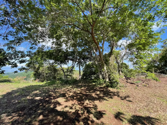 Lote con Vista al Mar Juanilama