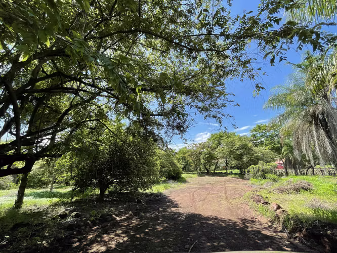 Lote con Vista al Mar Juanilama