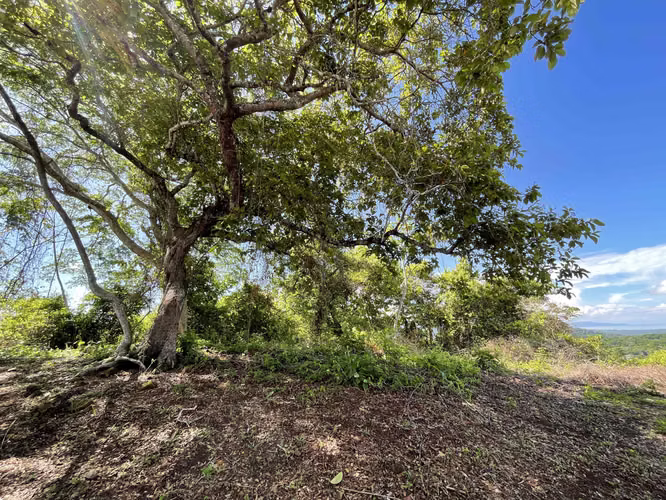 Lote con Vista al Mar Juanilama